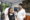 EBS_4496-2-2-2