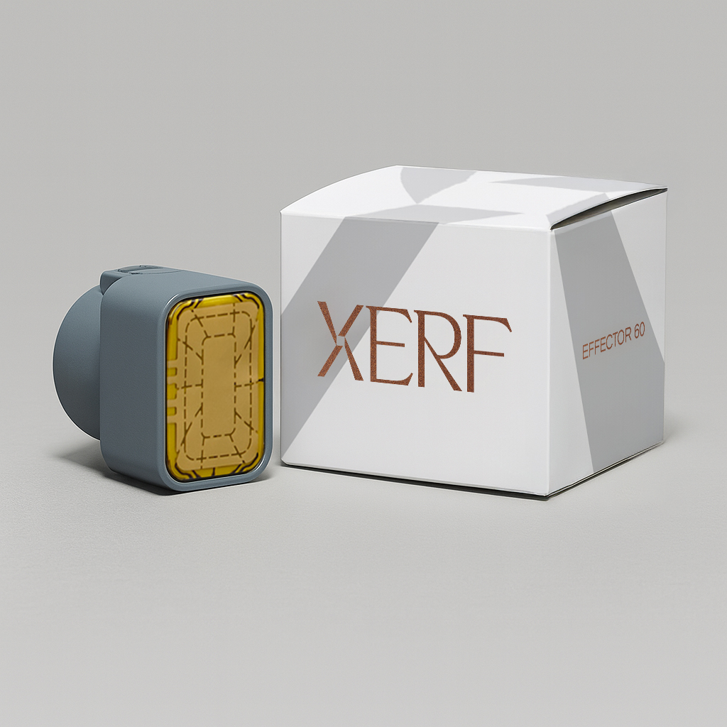Xerf Box 2
